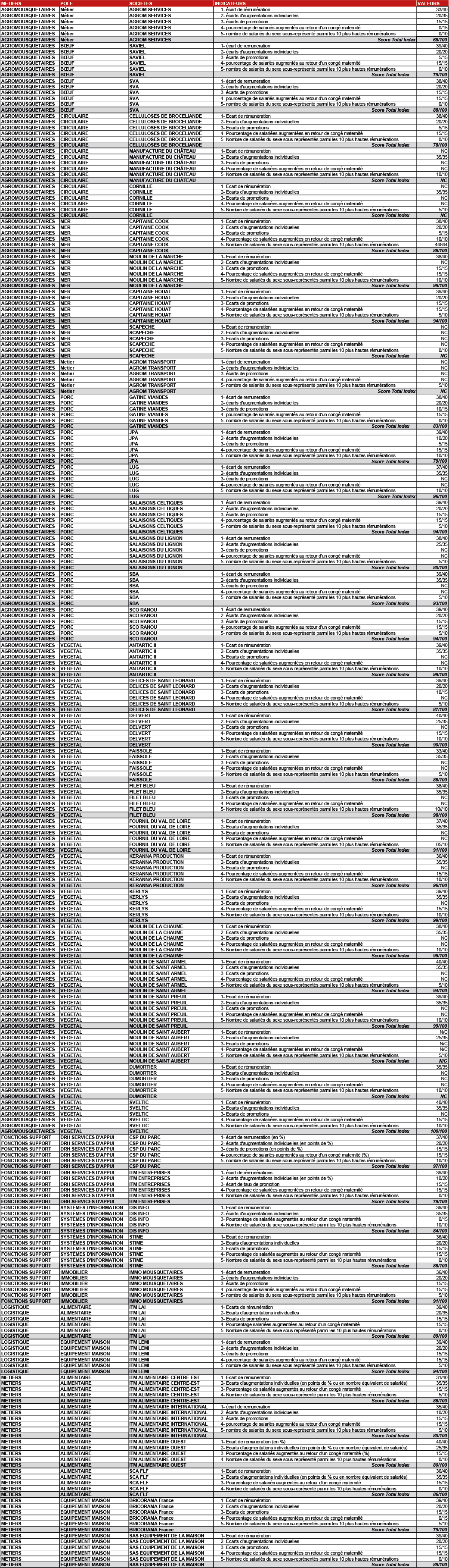 Index égalité Hommes Femmes
