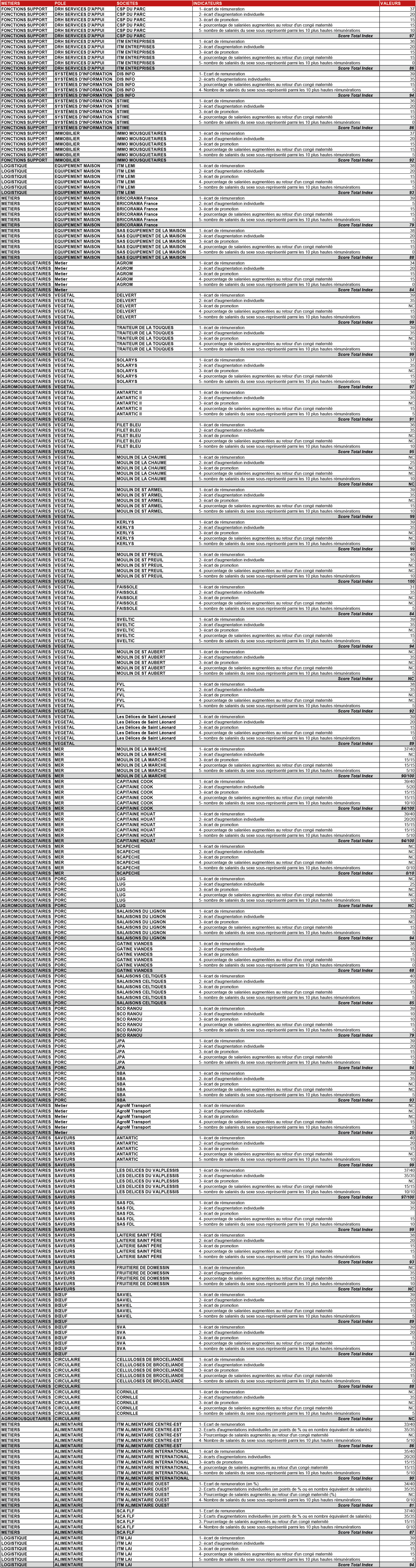 Index égalité Hommes Femmes